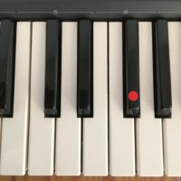 ピアノの黒鍵